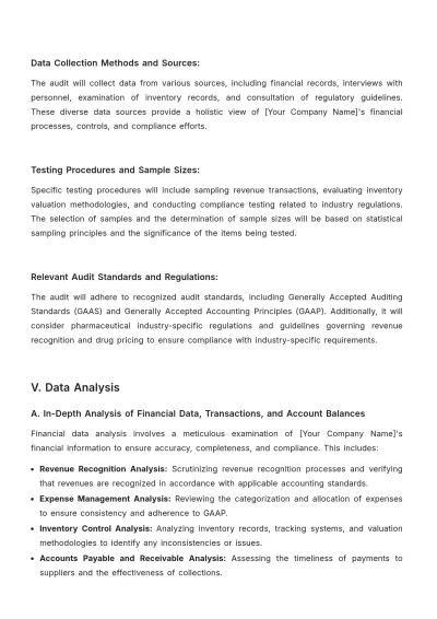 Free Internal Audit Accounting Case Study Template to Edit Online
