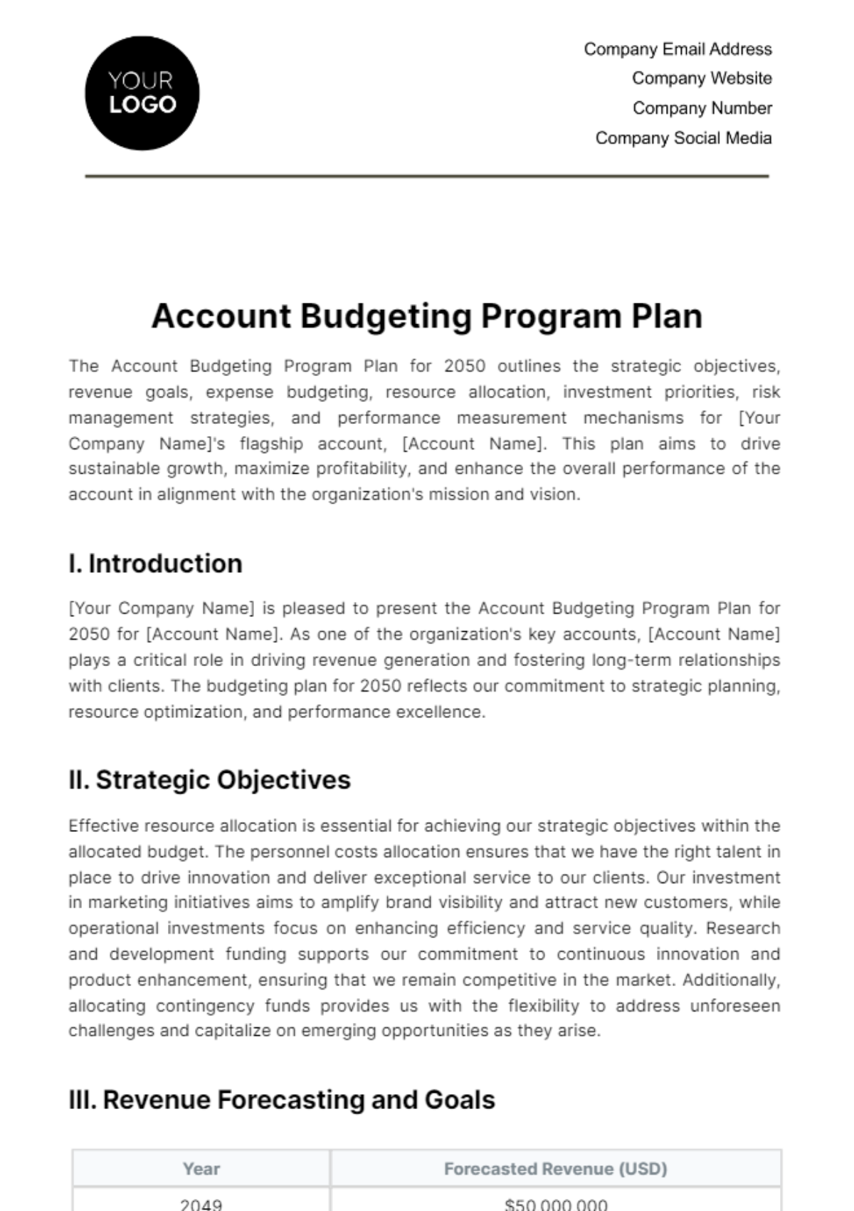 Account Budgeting Program Plan Template