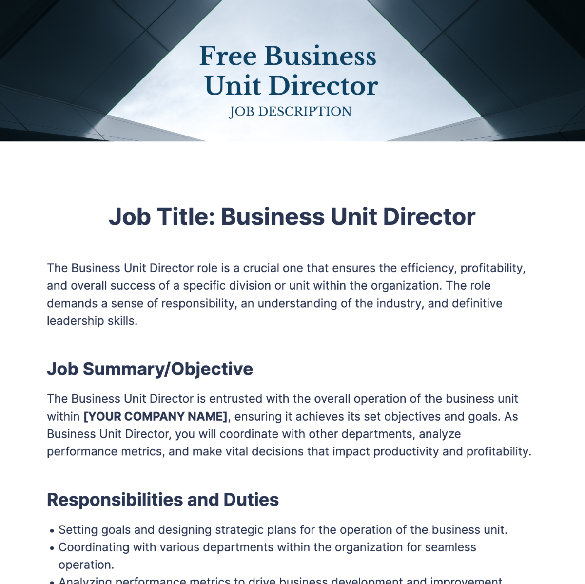 Business Unit Director Job Description Template