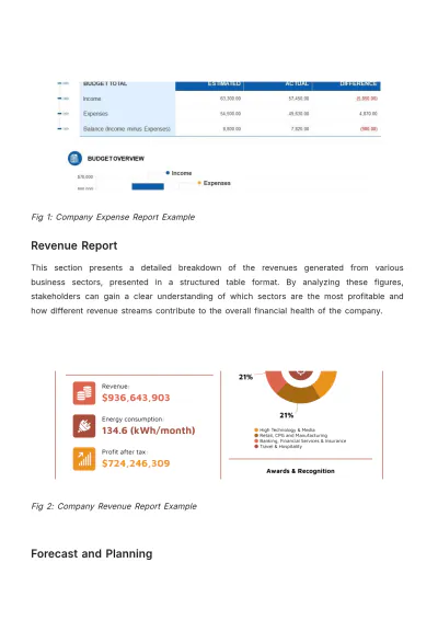 Free Account Budget Management Journal Template to Edit Online