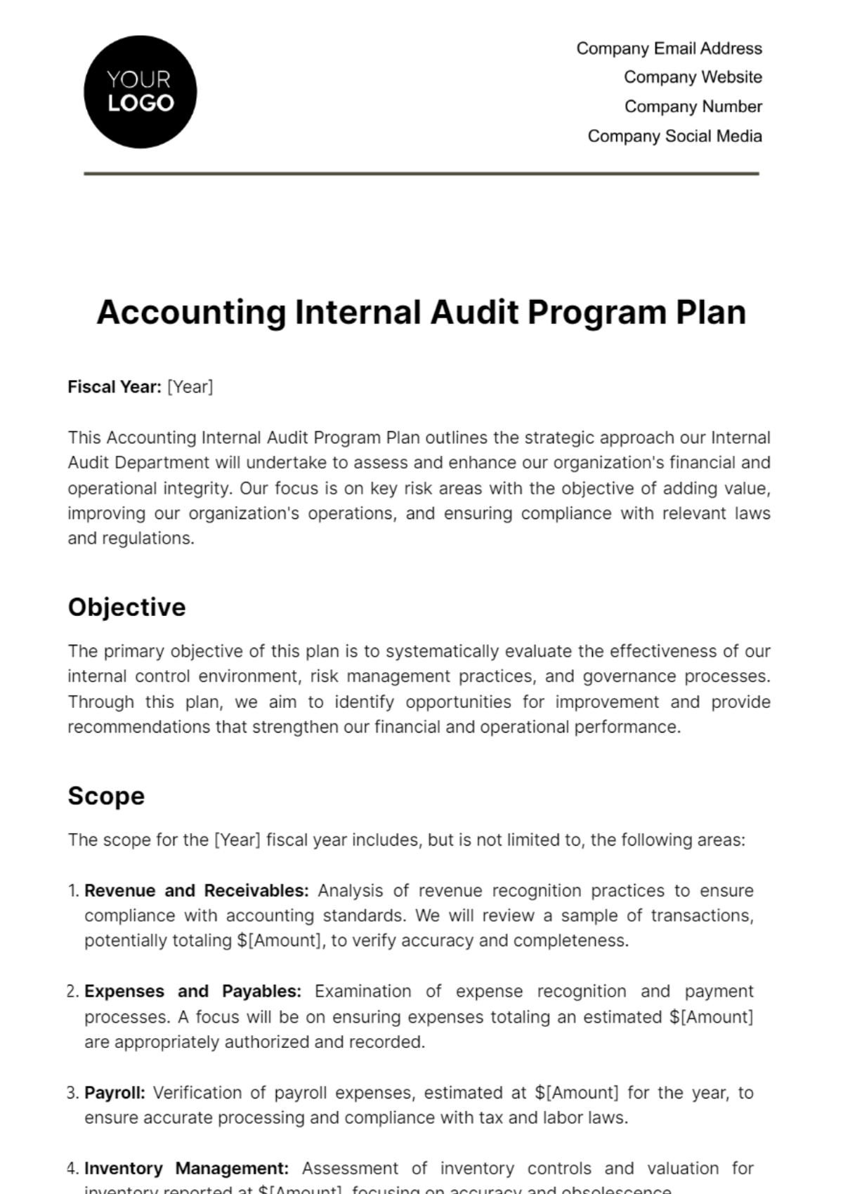 Free Accounting Internal Audit Program Plan Template