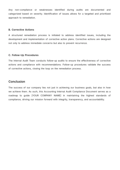 Free Accounting Internal Audit Compliance Document Template to Edit Online