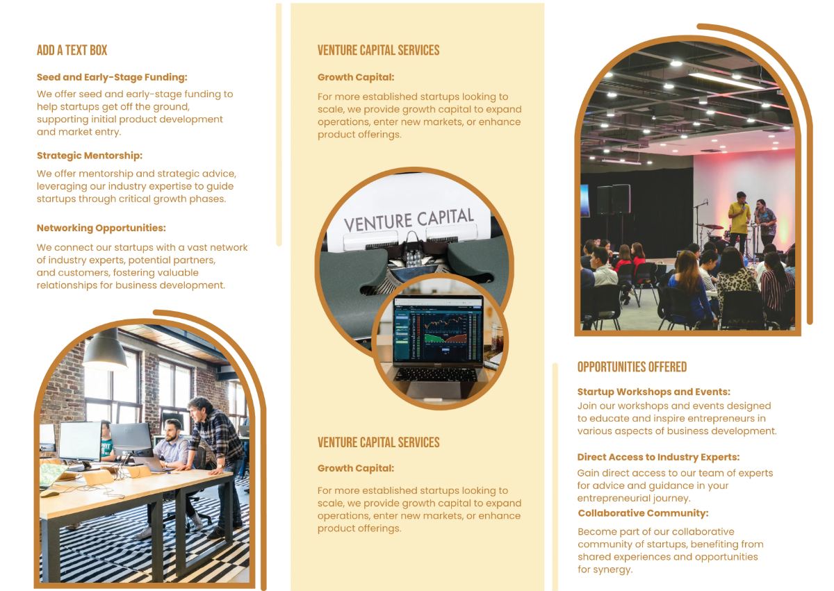 Free Startup Funding and Venture Capital Pamphlet Template to Edit Online