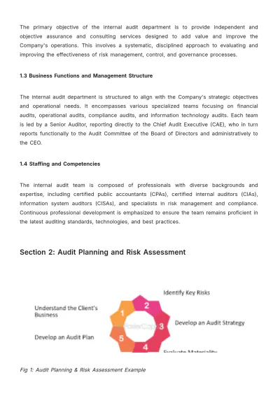 Free Internal Audit Accounting Protocol Template to Edit Online