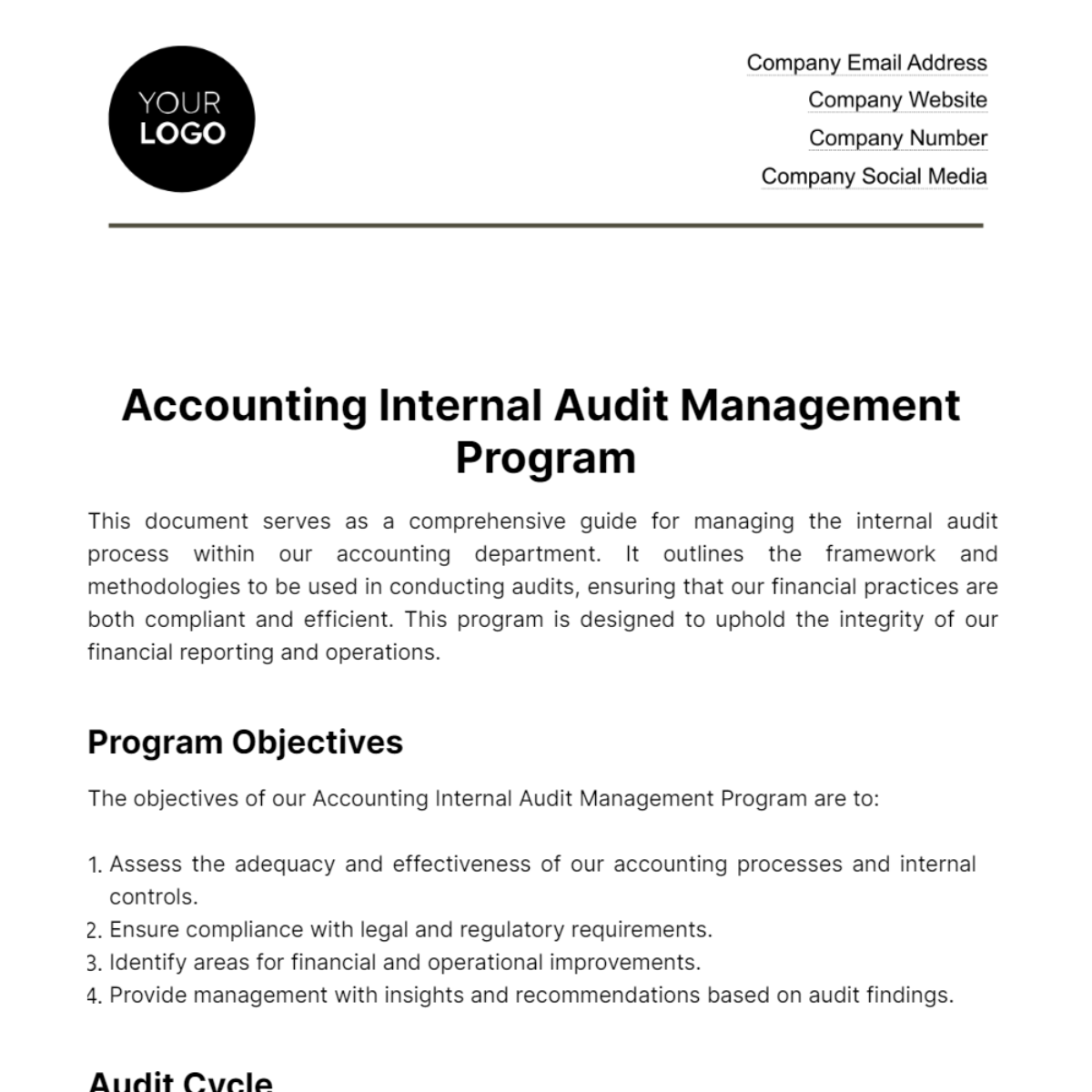 Accounting Internal Audit Management Program Template