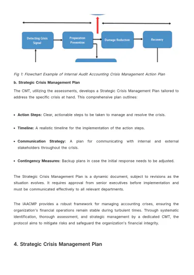 Free Internal Audit Accounting Crisis Management Protocol Template to Edit Online