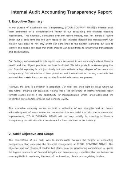 Free Internal Audit Accounting Transparency Report Template to Edit Online