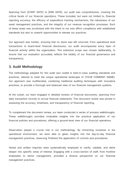 Free Internal Audit Accounting Transparency Report Template to Edit Online