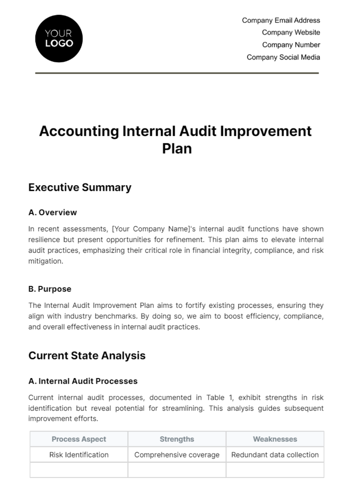 Accounting Internal Audit Improvement Plan Template