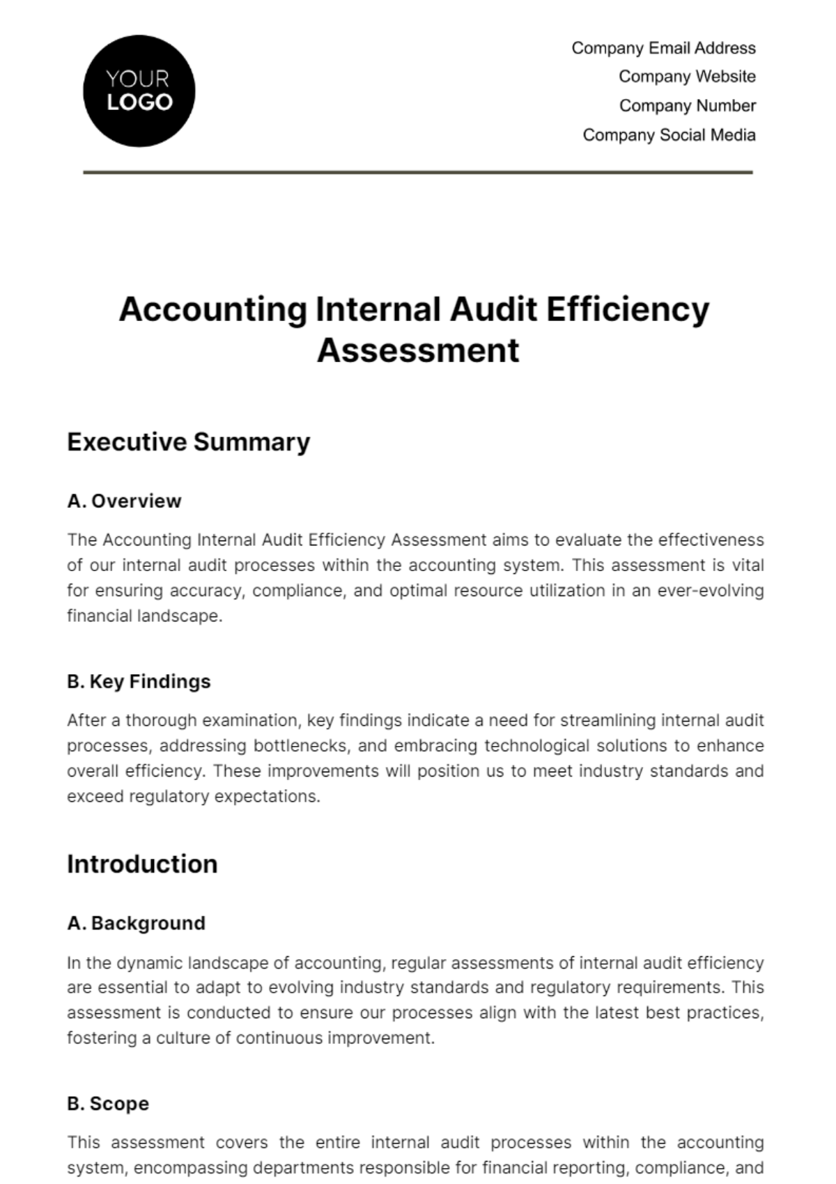 Accounting Internal Audit Efficiency Assessment Template - Edit Online & Download