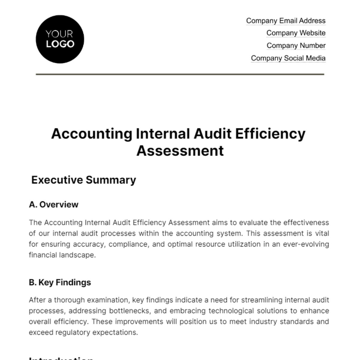 Accounting Internal Audit Efficiency Assessment Template - Edit Online ...