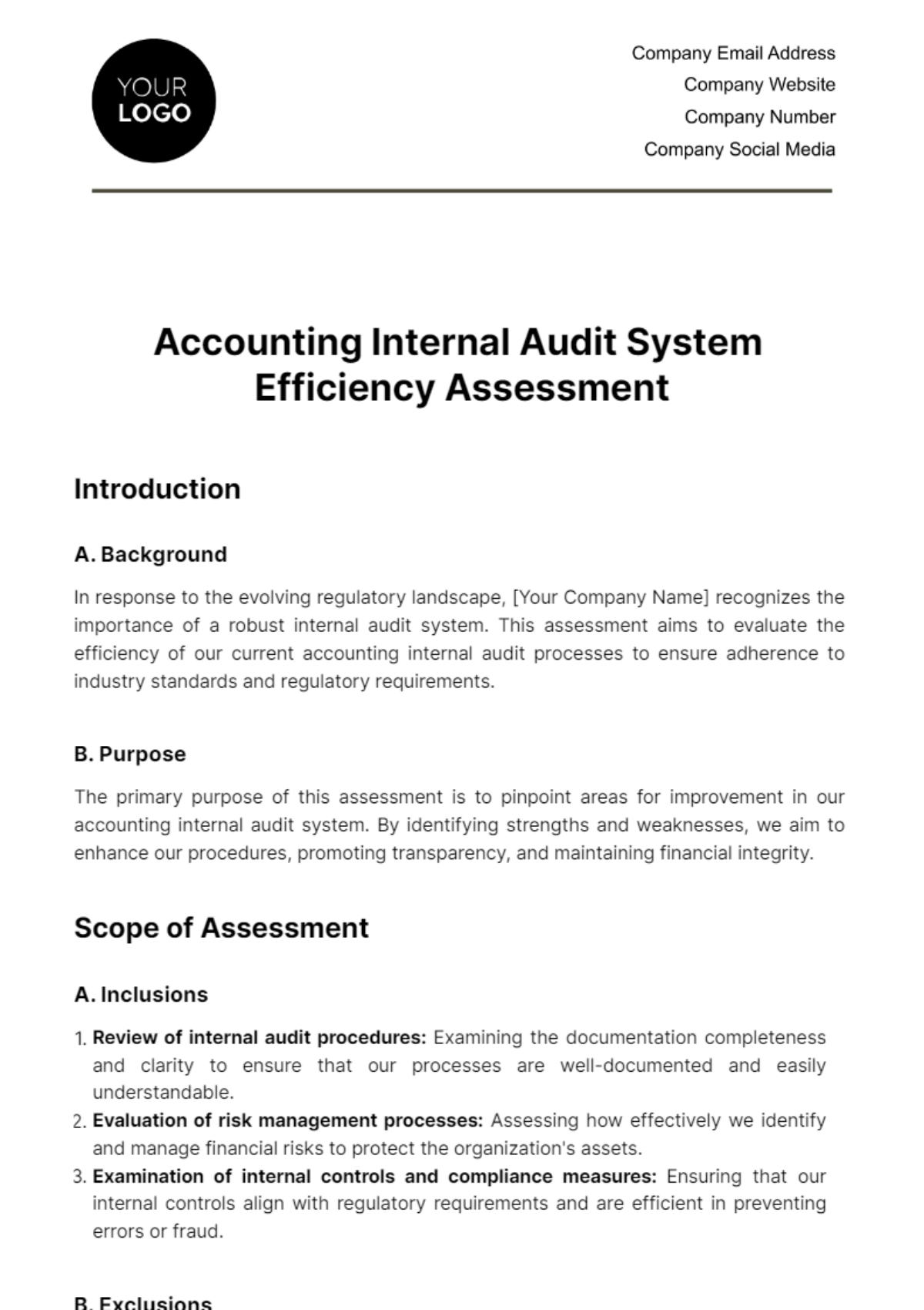 Accounting Internal Audit System Efficiency Assessment Template - Edit Online & Download