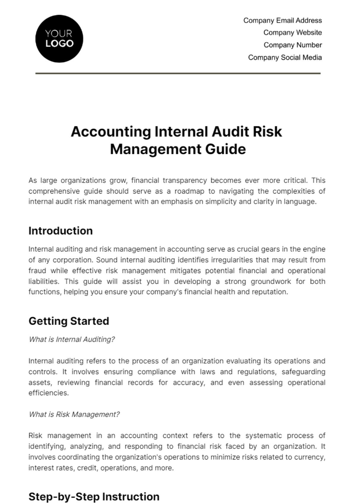 Accounting Internal Audit Risk Management Guide Template