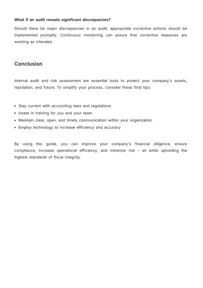 Free Accounting Internal Audit Risk Management Guide Template to Edit Online