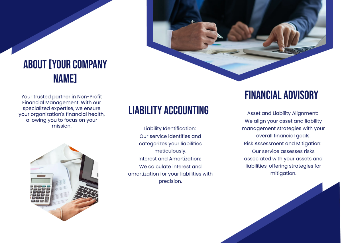 Free Asset and Liability Accounting Pamphlet Template to Edit Online