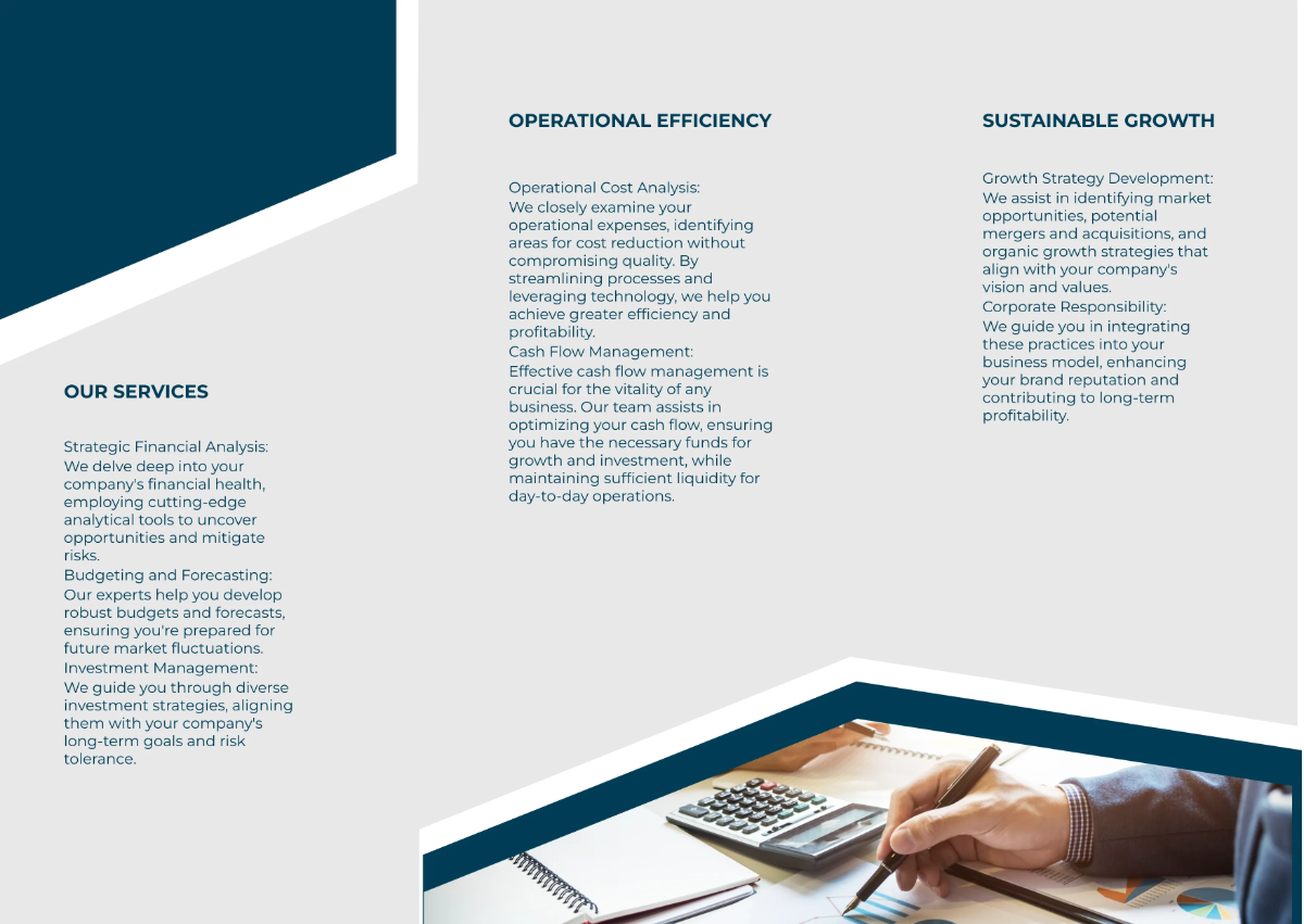 Free Financial Planning and Strategy Pamphlet Template to Edit Online