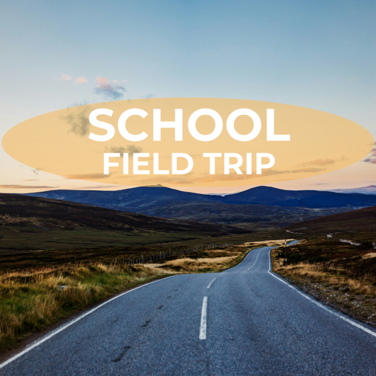 School Field Trip Itinerary Template