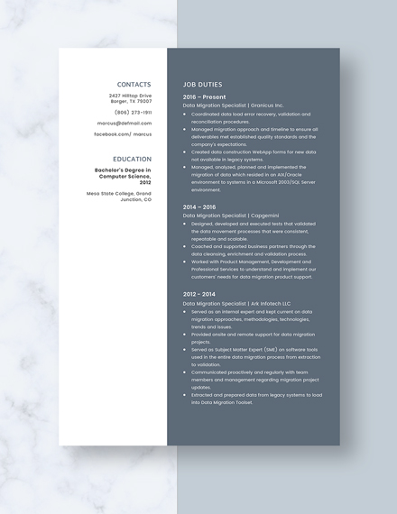 Data Migration Specialist Resume Template Word Doc Apple Mac Pages Template Net