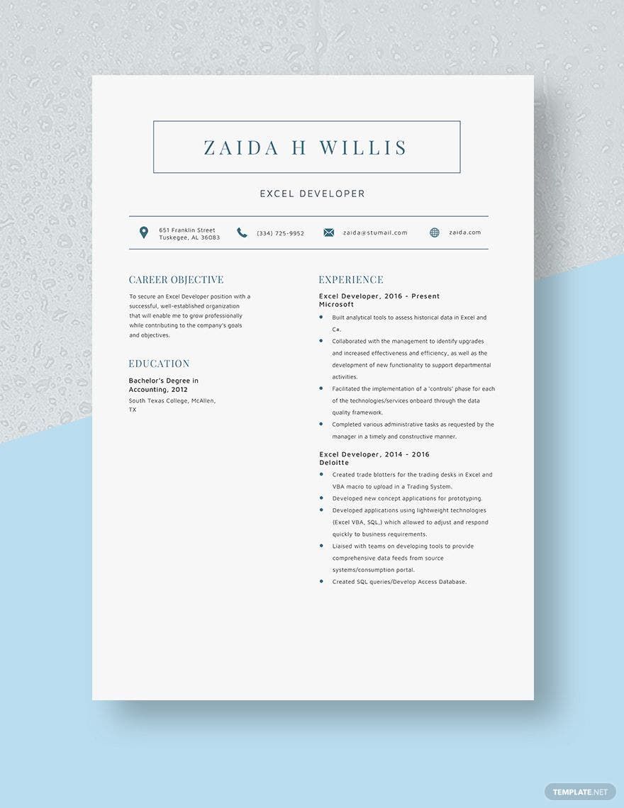 Excel Developer Resume Template