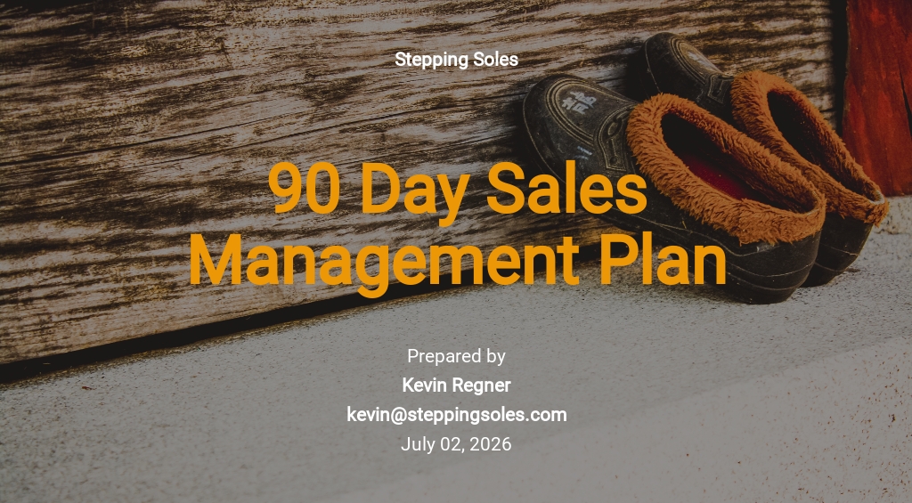 19  FREE 90 Day Sales Plan Templates Edit Download Template net