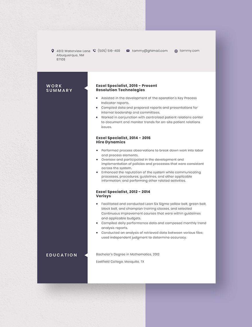 resume format in excel sheet free download