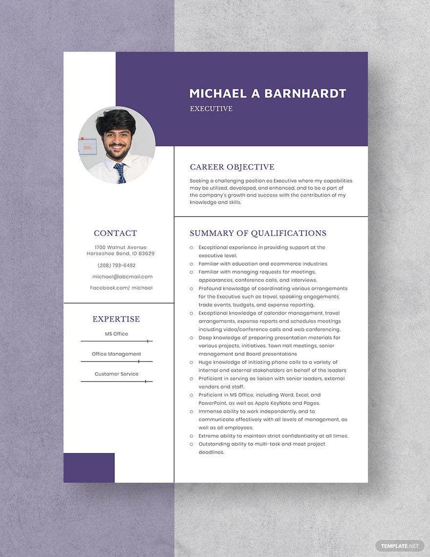 Executive Resume in Word, Apple Pages