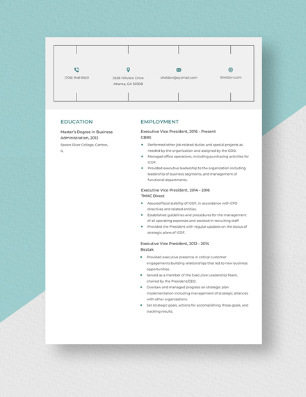 Executive Vice President Resume Template Word Apple Pages Template