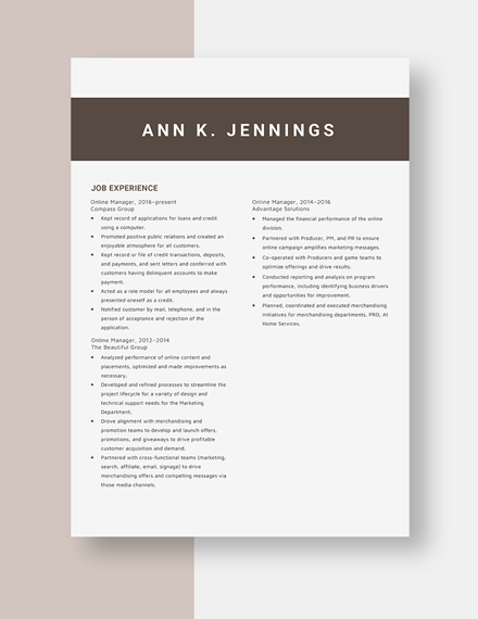 Online Manager Resume Template
