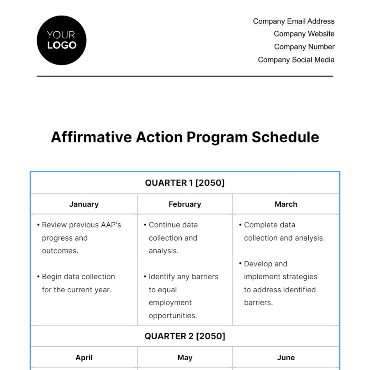 Affirmative Action Program Schedule HR Template - Edit Online & Download