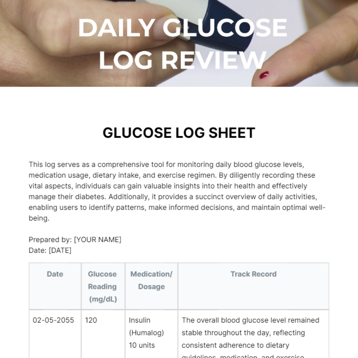 Glucose Log Sheet Template - Edit Online & Download