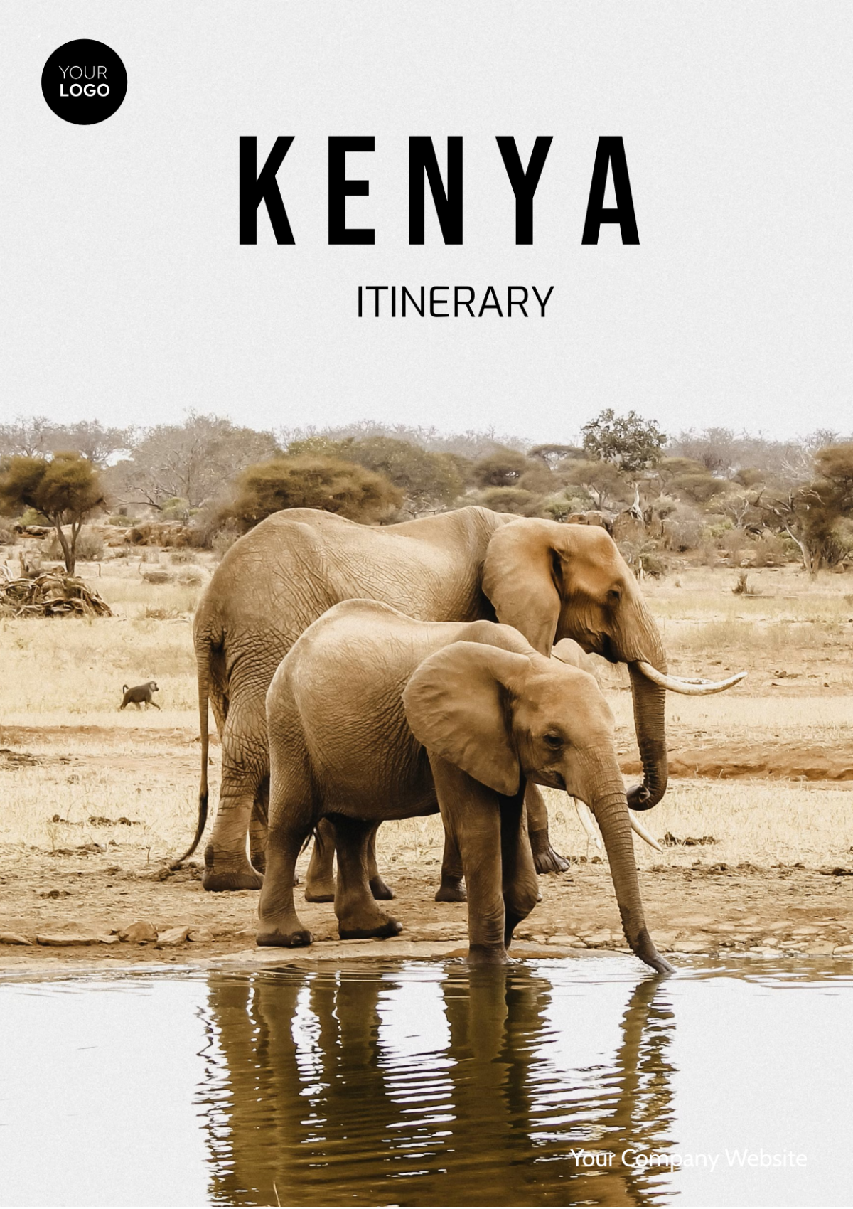 Kenya Itinerary Template - Edit Online & Download