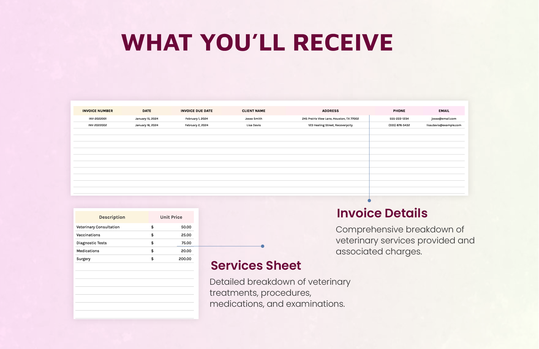 Veterinary Services Invoice Template