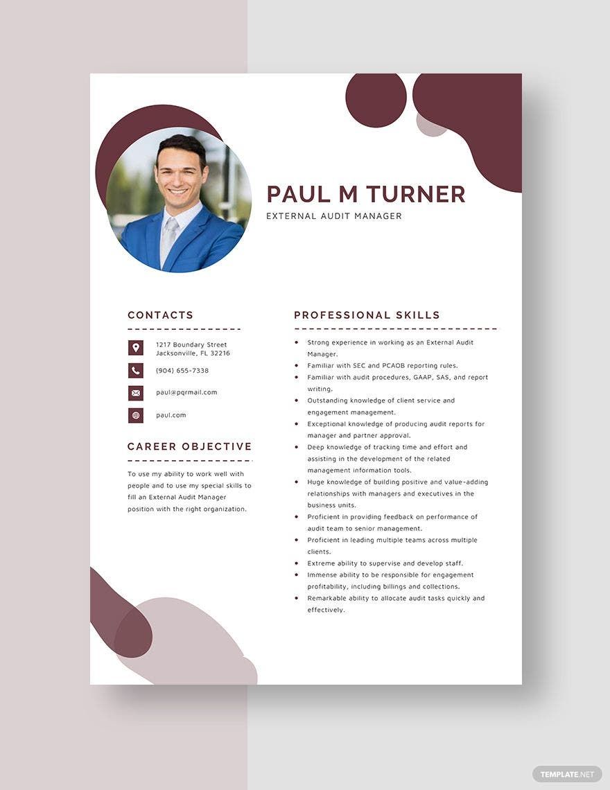 Free External Audit Manager Resume Template