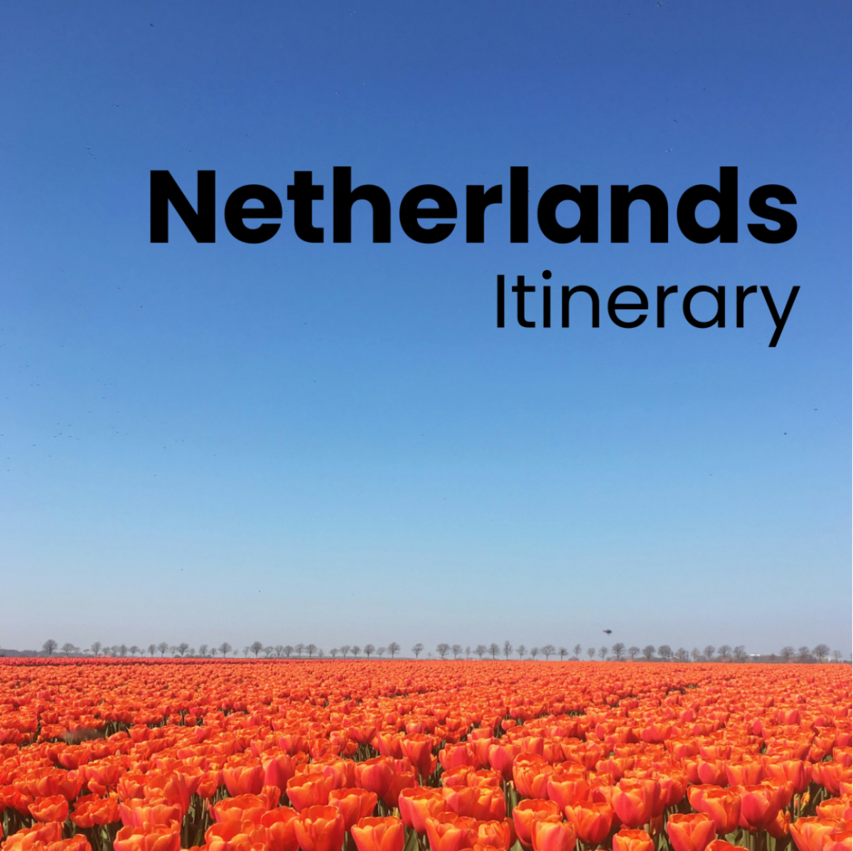 Netherlands Itinerary Template