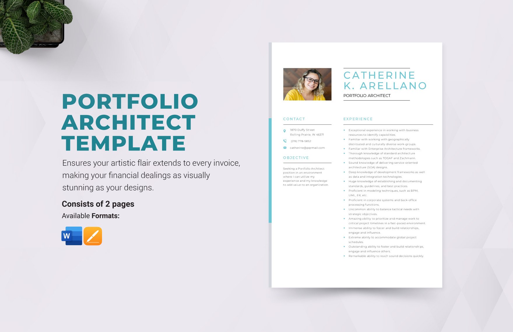 Portfolio Architect Resume