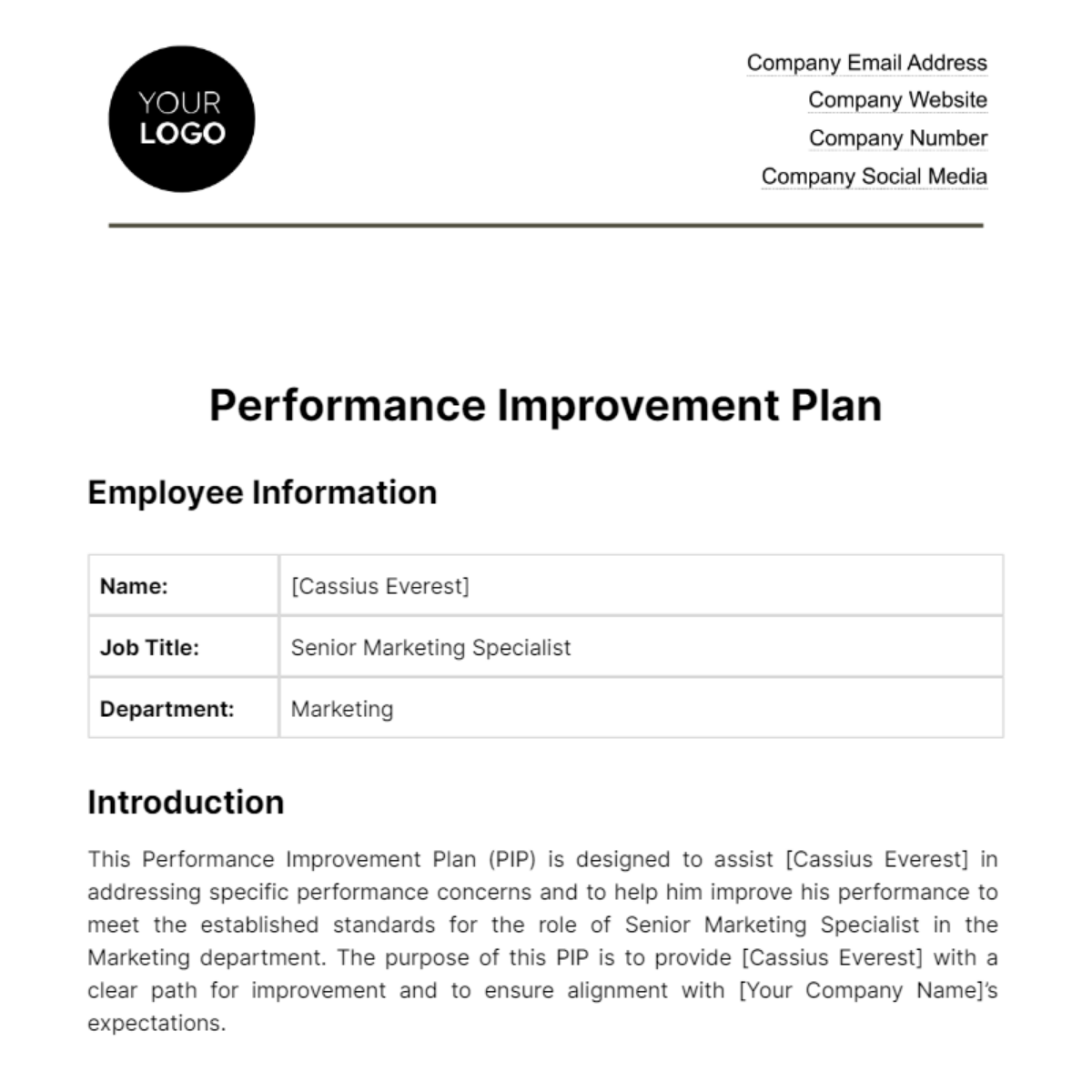 Free Performance Improvement Plan HR Template