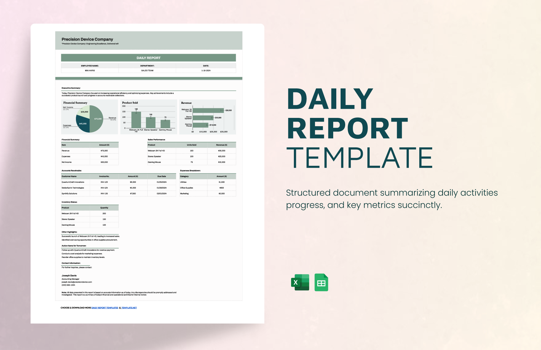 Free Daily Report Template
