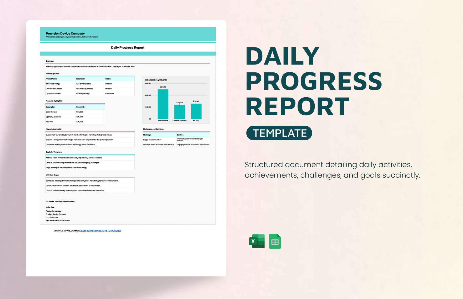 Free Daily Progress Report Template in Excel, Google Sheets