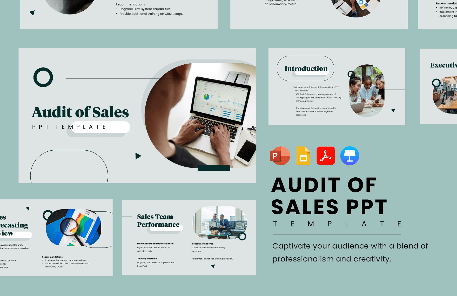 Audit of Sales PPT Template