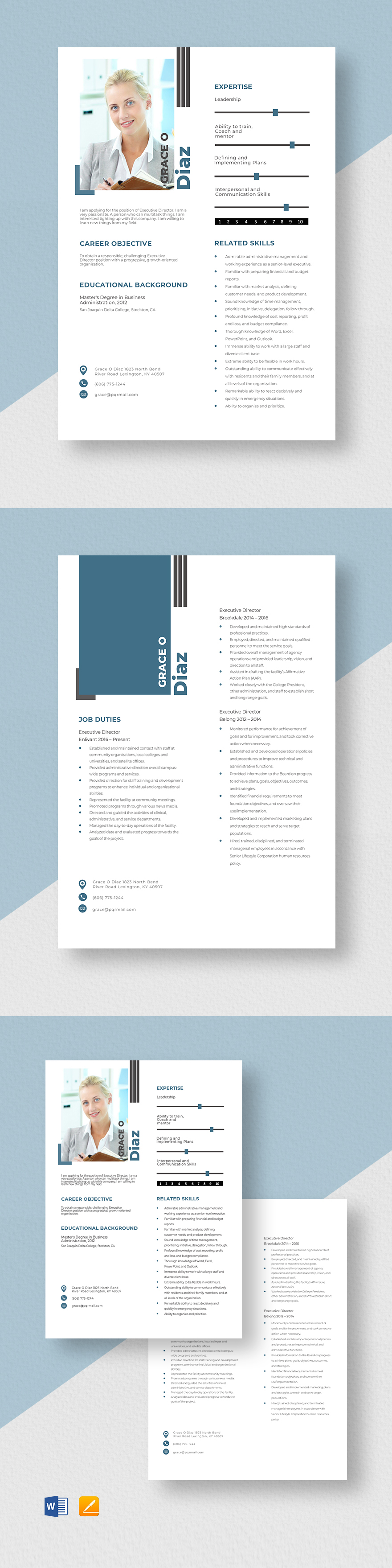 Executive Director Resume Template - Executive Director Resume Template 9
