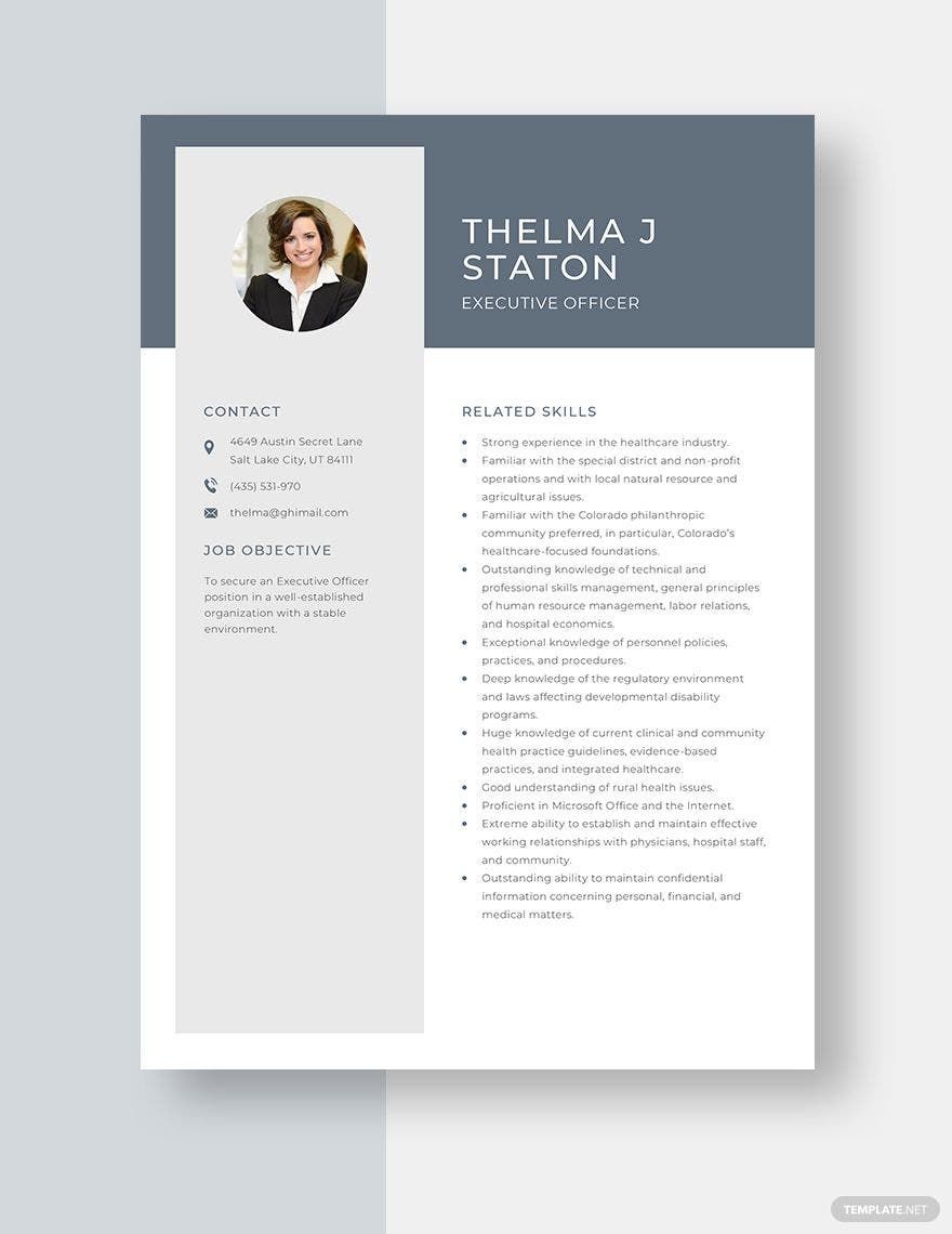 Executive Officer Resume
