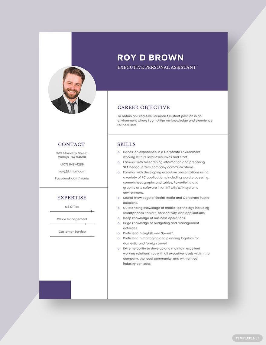 Executive Personal Assistant Resume Word Apple Pages Template