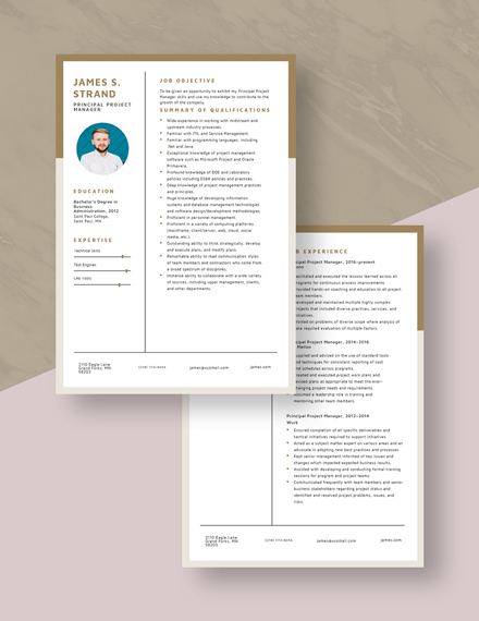 Principal Project Manager Resume Template - Word, Apple Pages ...