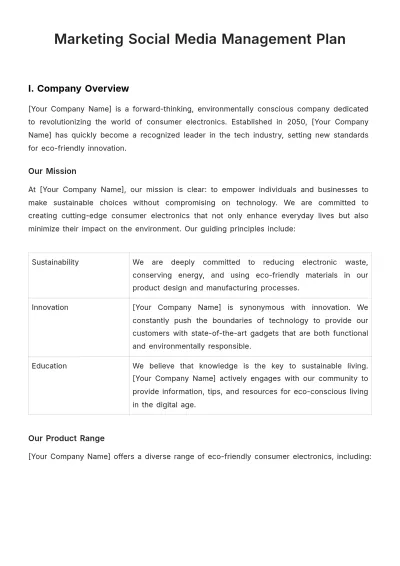 Free Marketing Social Media Management Plan Template to Edit Online