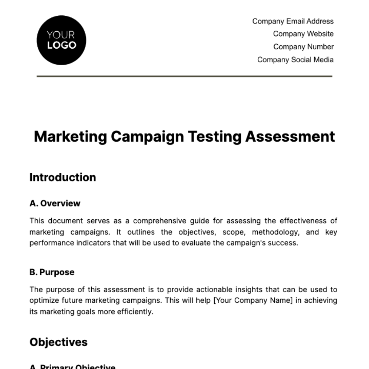 Marketing Campaign Testing Assessment Template