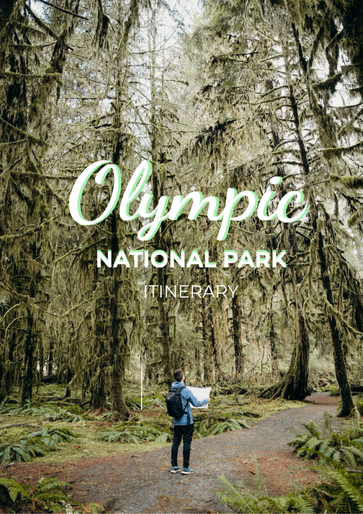 Olympic National Park Itinerary Template - Edit Online & Download