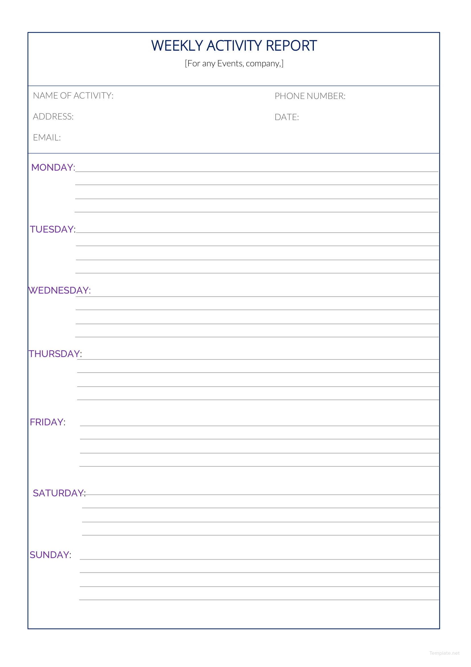 Daily Activity Report Format
