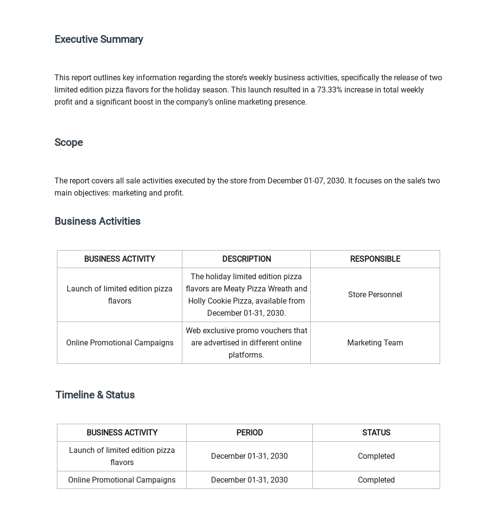 FREE Weekly Business Report Template PDF Word (DOC