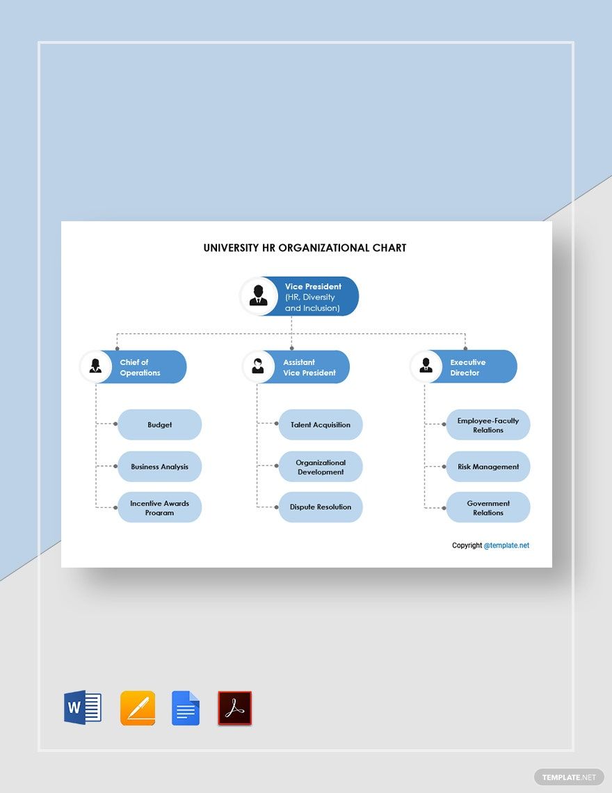 University Human Resources Organizational Chart Template in PDF, Pages ...