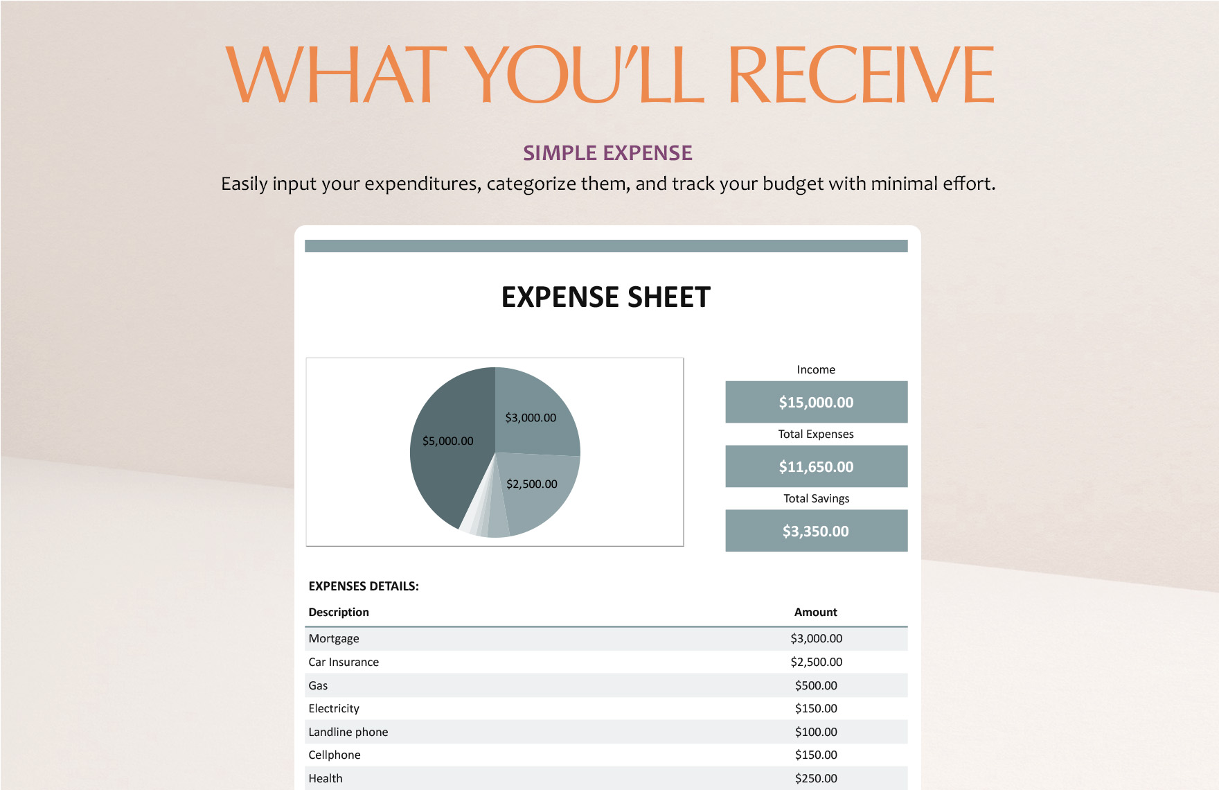 Simple Expense Sheet Template